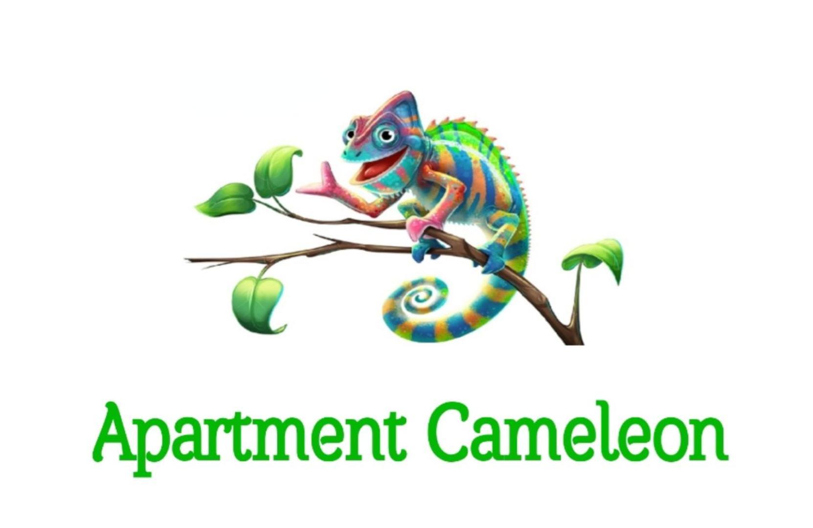 Cameleon *
