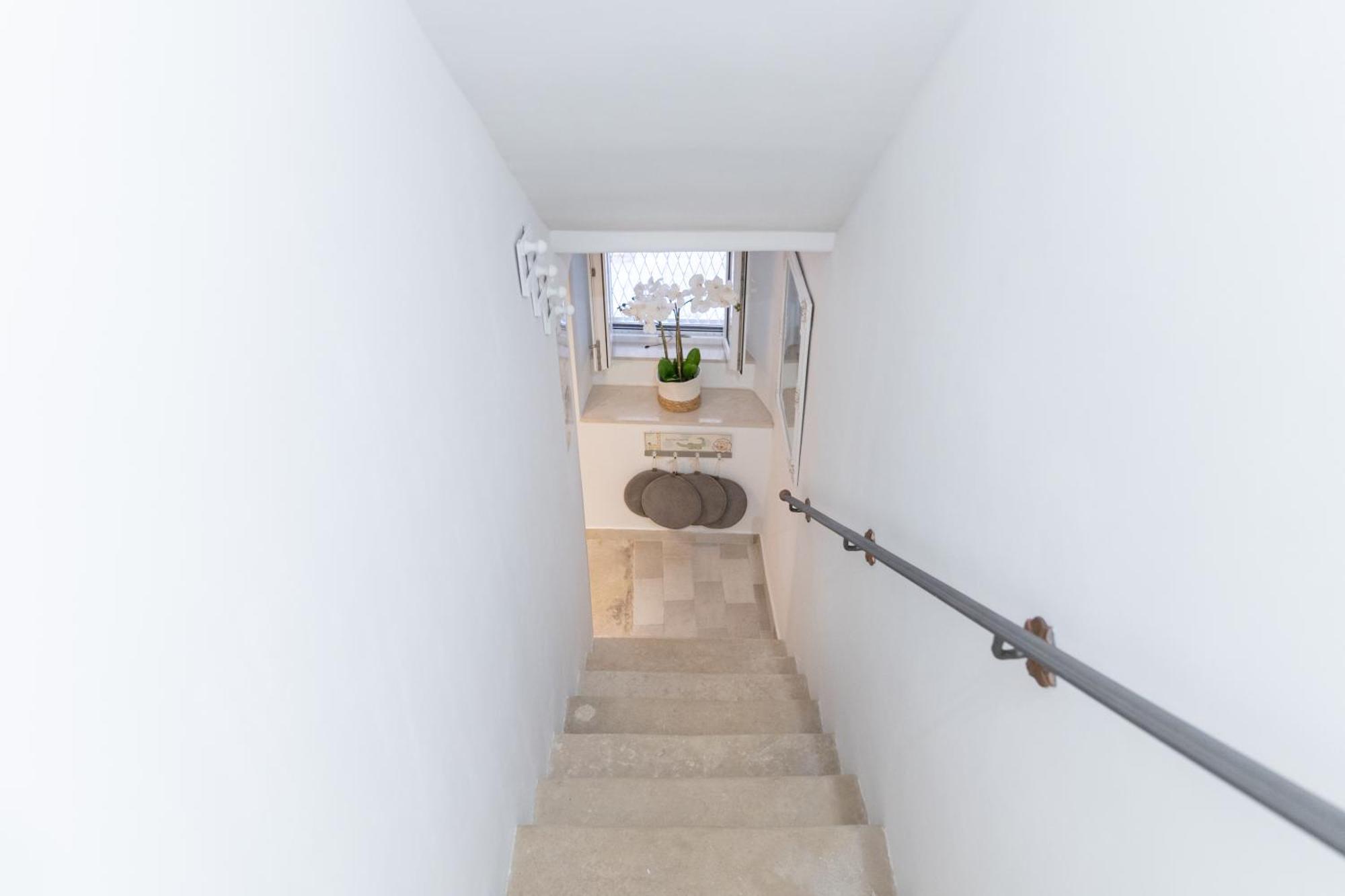 Apartment Cameleon